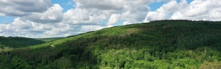 Protéger les forêts des incendies 